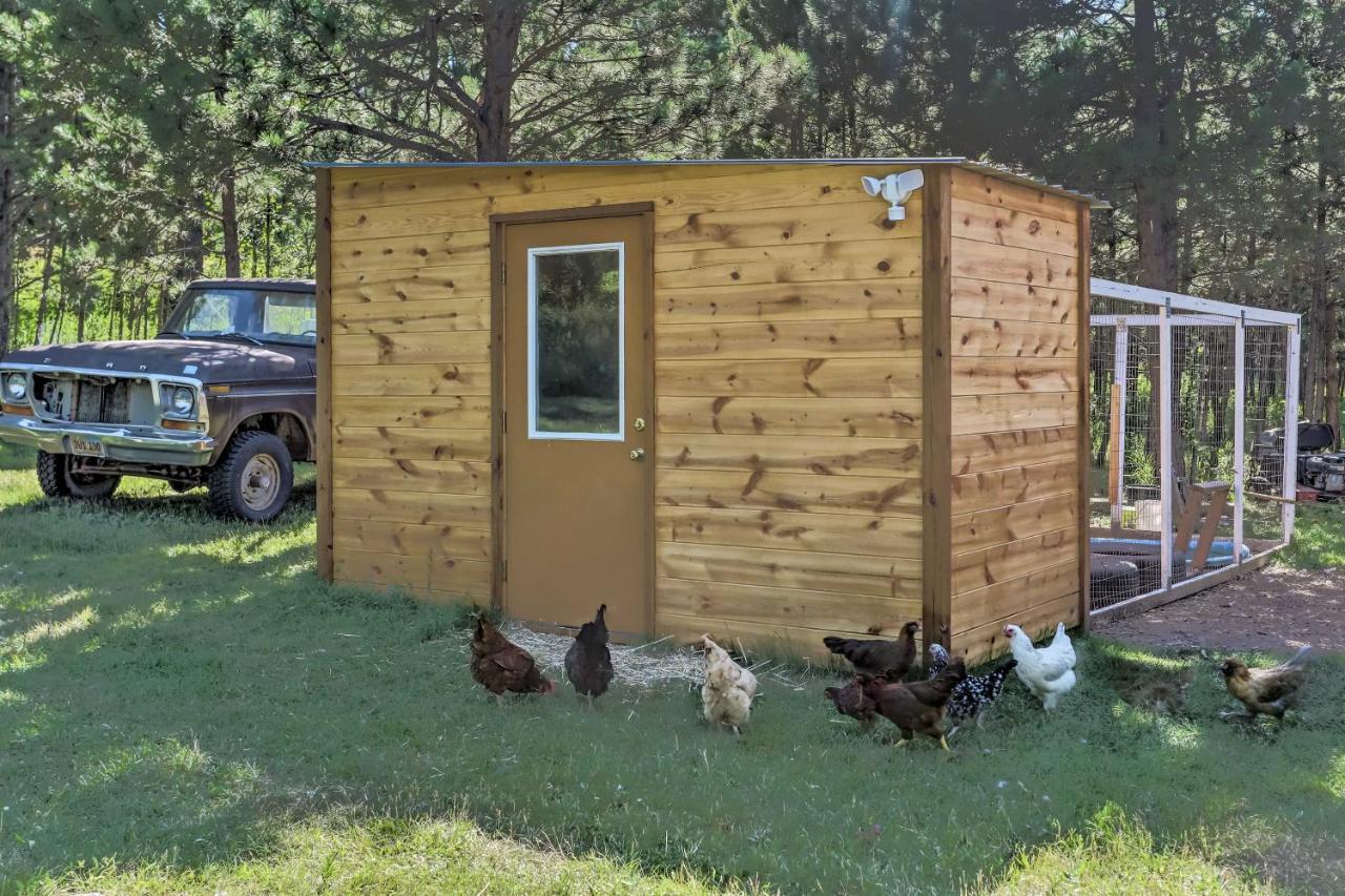 Rapid City Cabin With Hiking And Atv Trail Access Villa Exterior photo